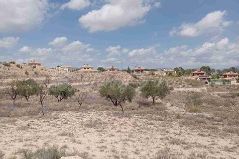 Helårsgrund i Monovar, Alicante, Monovar - € 69.995 | Ref: SF0514 - foto 6